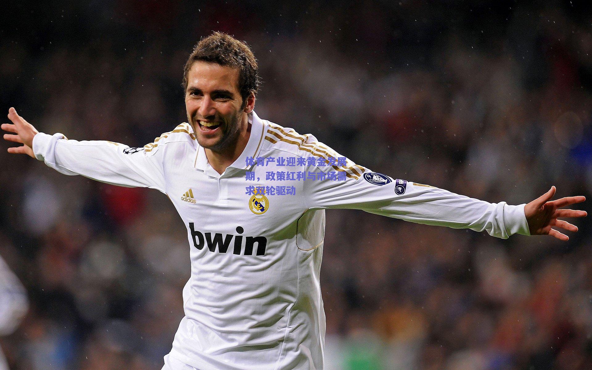 体育产业迎来黄金发展期，政策红利与市场需求双轮驱动